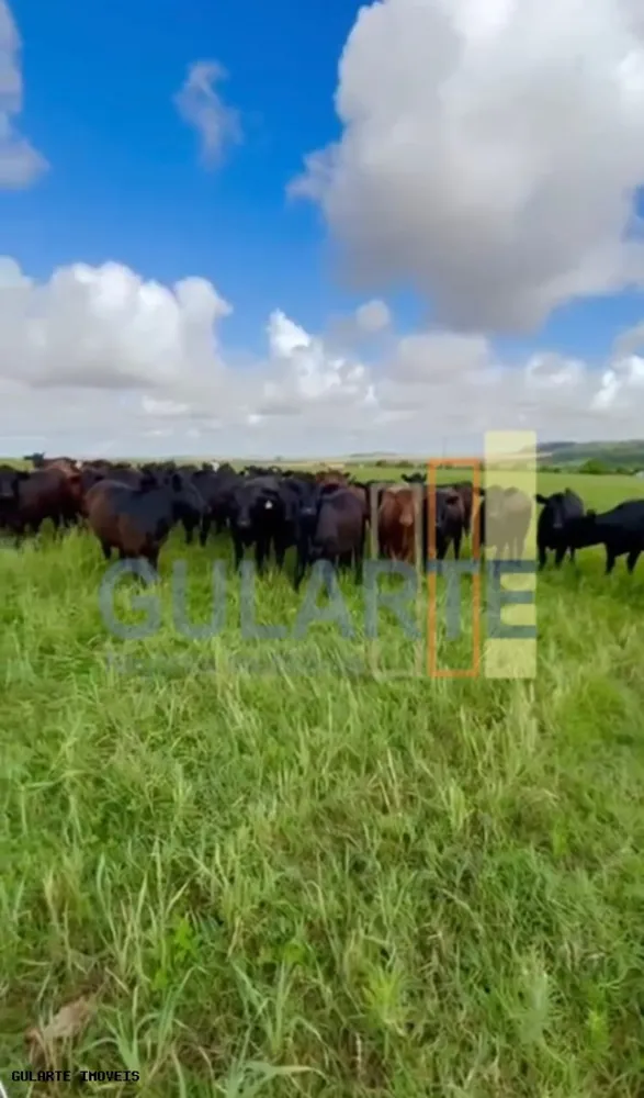 Fazenda, 692 hectares - Foto 1