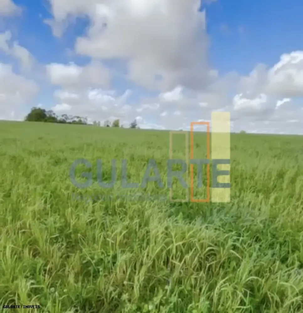 Fazenda, 692 hectares - Foto 3