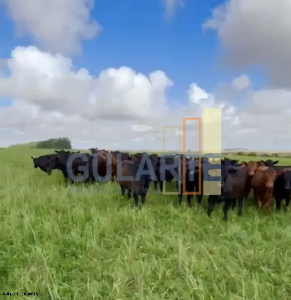 Fazenda, 692 hectares - Foto 2