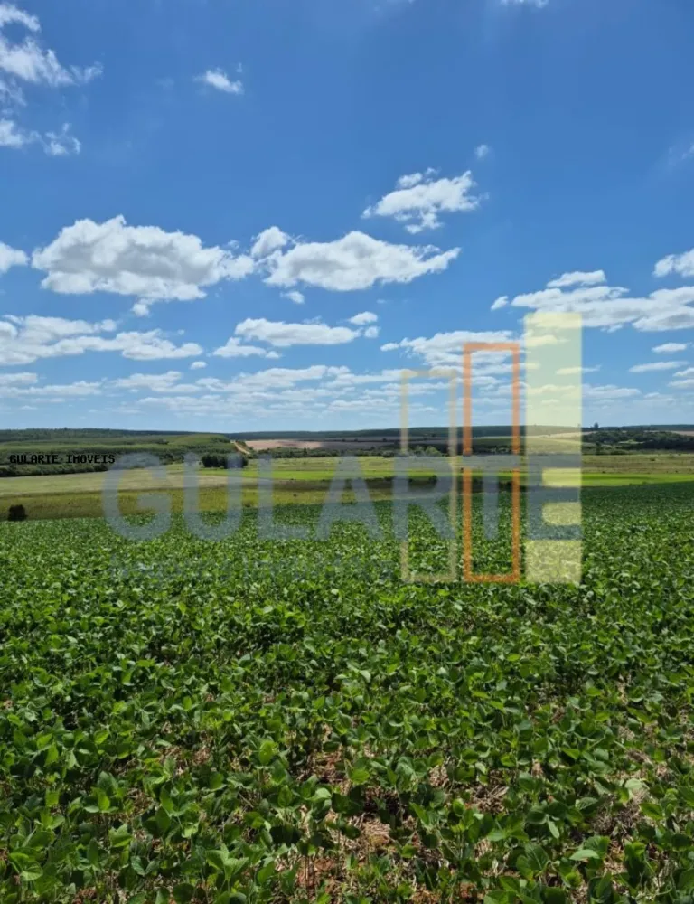 Fazenda, 72 hectares - Foto 5