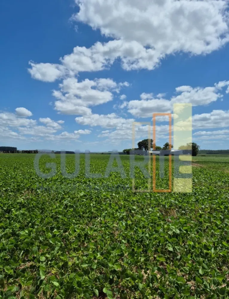 Fazenda, 72 hectares - Foto 2