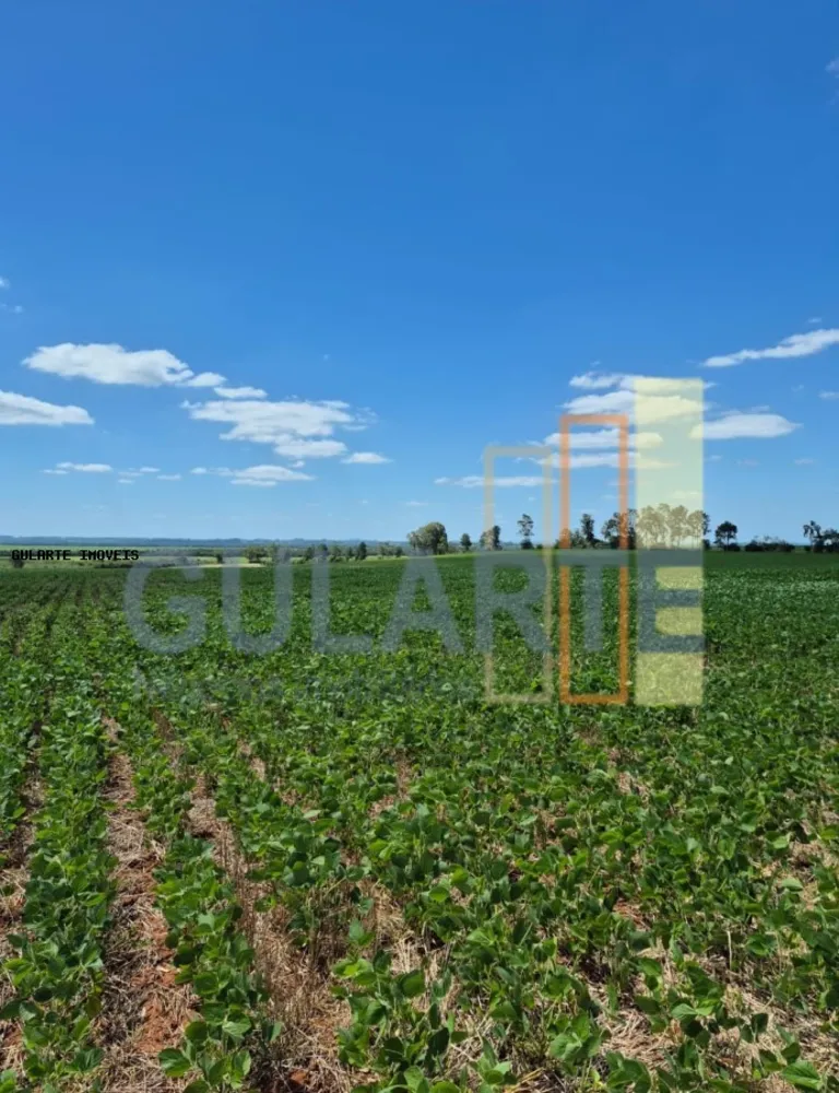 Fazenda, 72 hectares - Foto 8