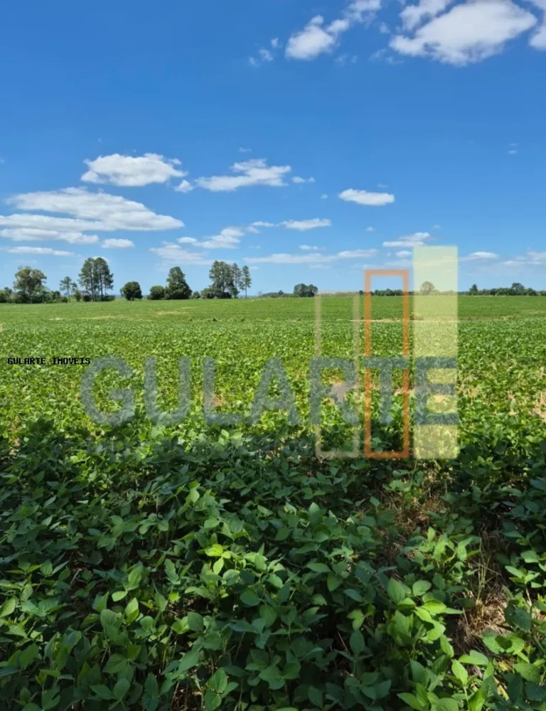 Fazenda, 72 hectares - Foto 4