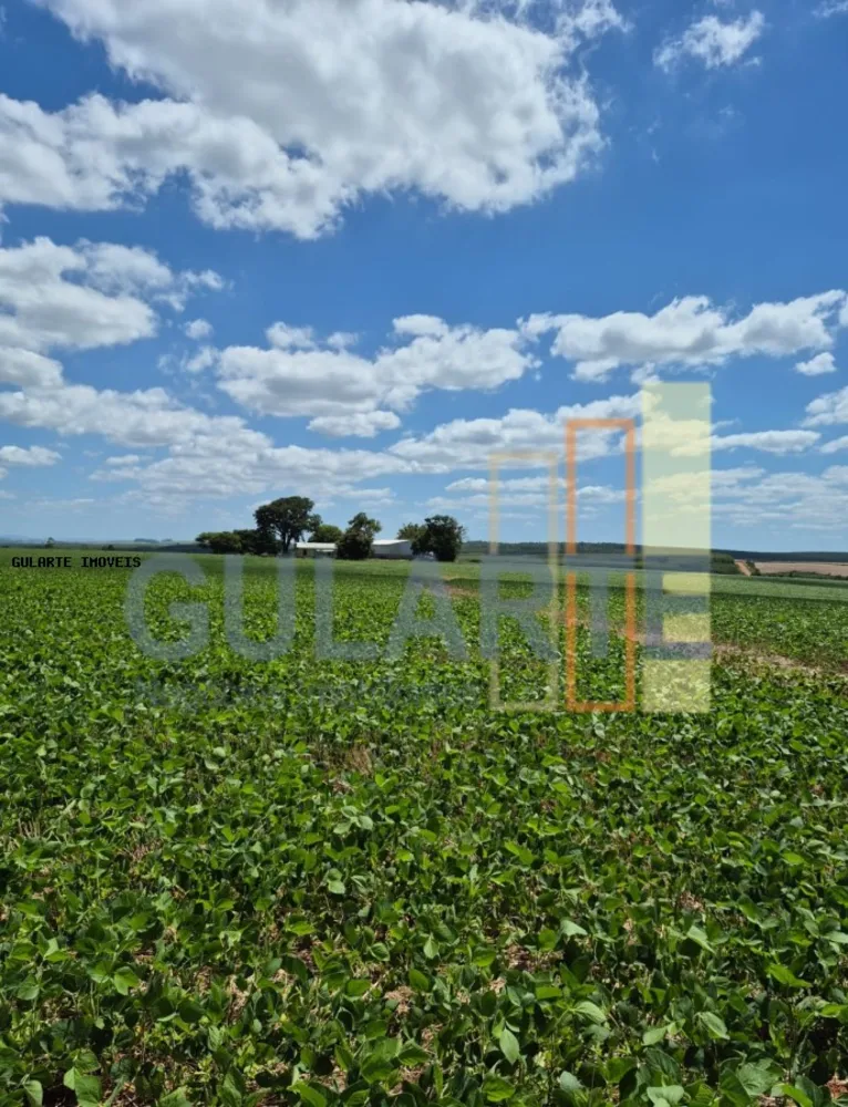 Fazenda, 72 hectares - Foto 3