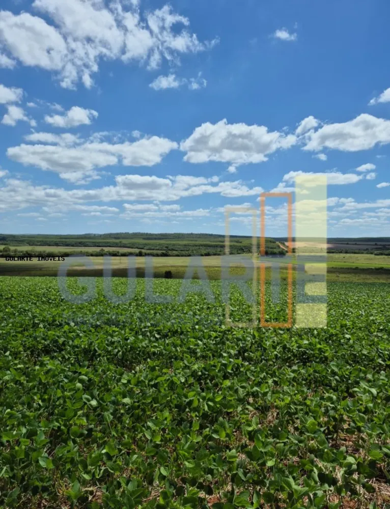 Fazenda, 72 hectares - Foto 6