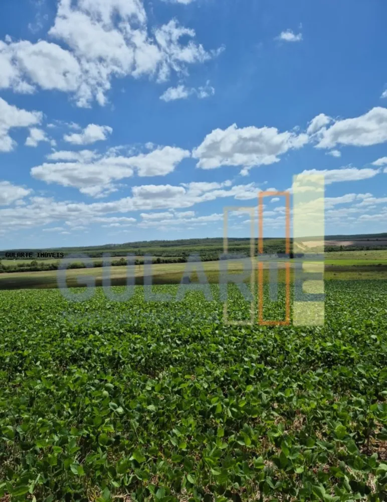 Fazenda, 72 hectares - Foto 7