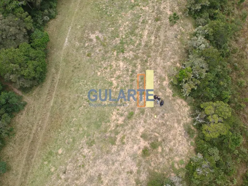 Terreno, 13 hectares - Foto 6
