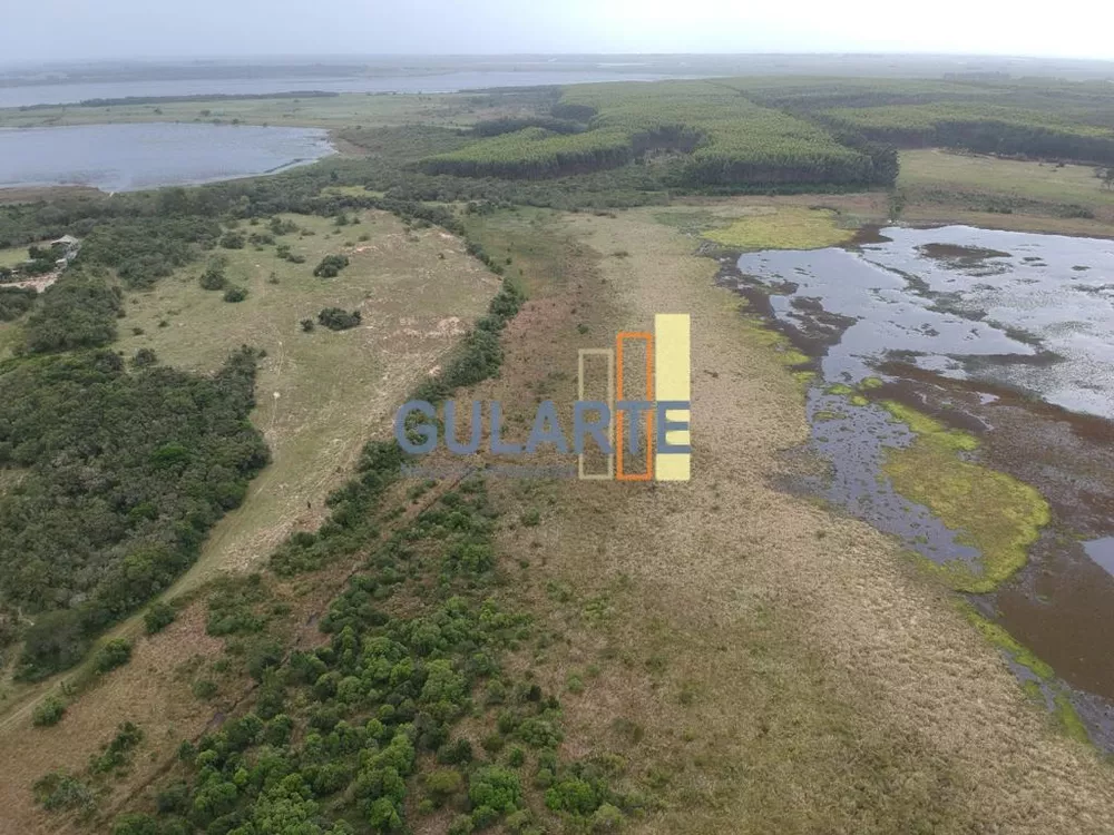 Terreno, 13 hectares - Foto 5