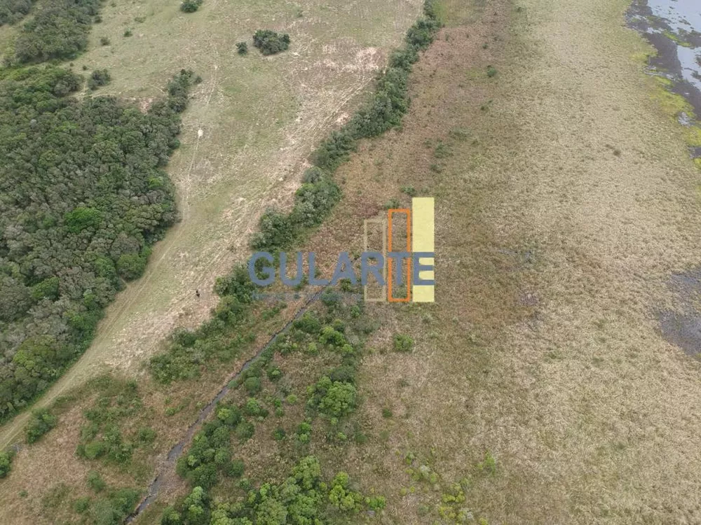 Terreno, 13 hectares - Foto 7