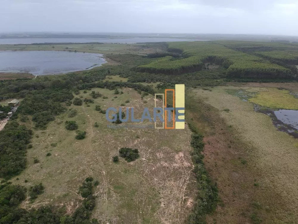 Terreno, 13 hectares - Foto 4