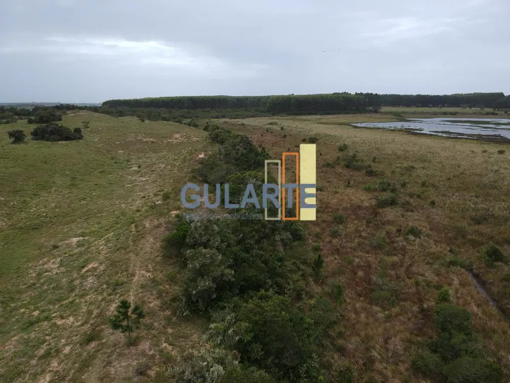 Terreno, 13 hectares - Foto 2