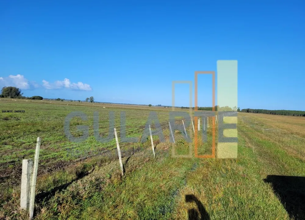Fazenda, 442 hectares - Foto 6