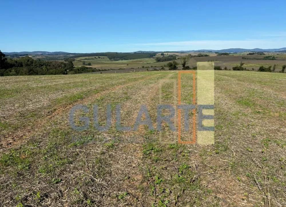 Fazenda, 244 hectares - Foto 4