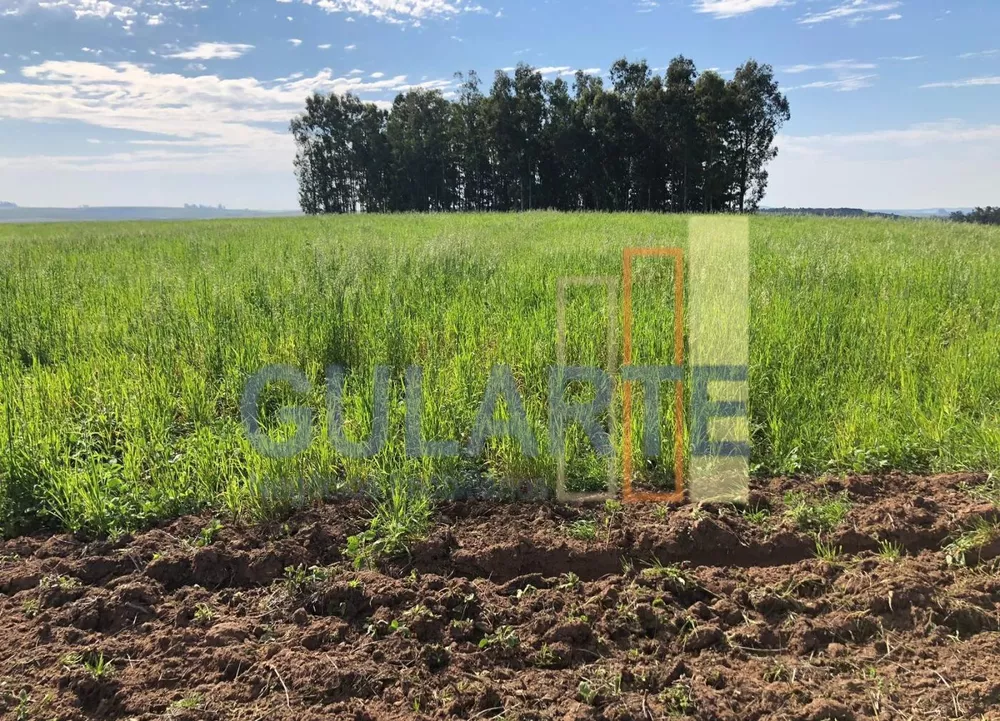 Fazenda, 244 hectares - Foto 3