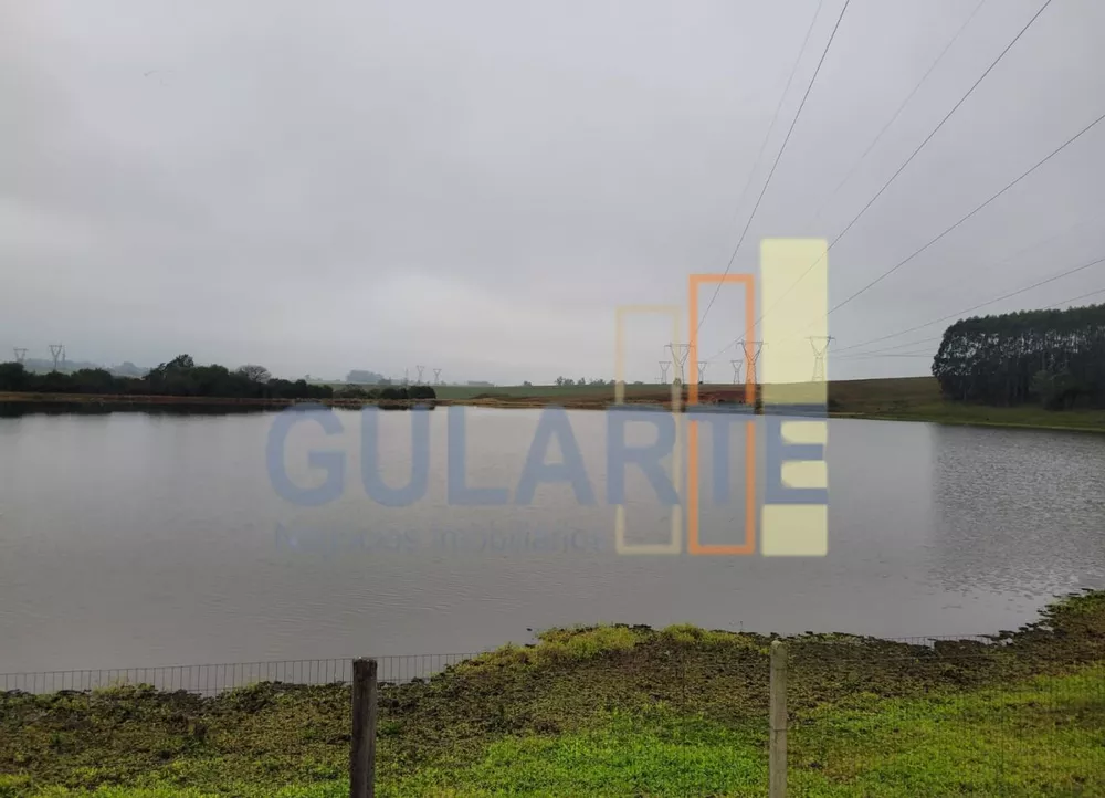 Fazenda, 244 hectares - Foto 7