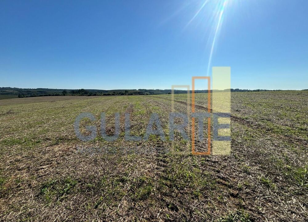 Fazenda à venda, 2440000m² - Foto 4