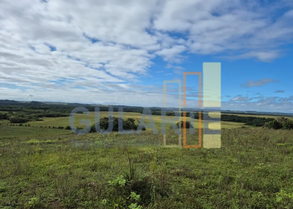 Fazenda, 293 hectares - Foto 4