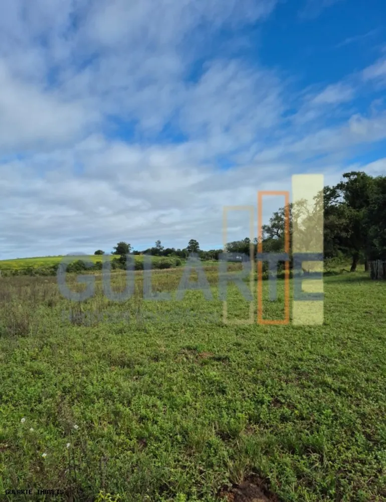 Fazenda, 293 hectares - Foto 8