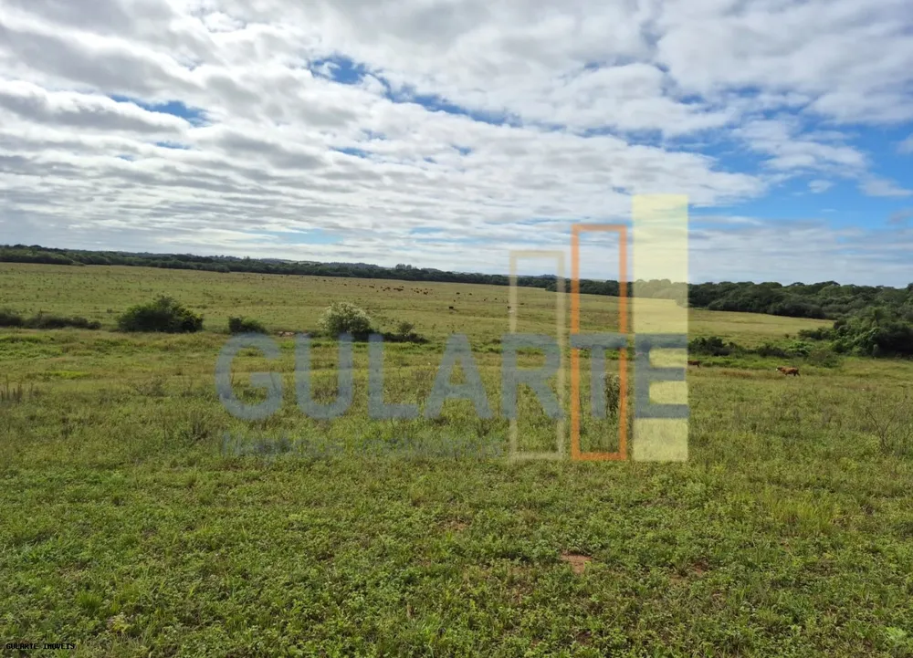 Fazenda, 293 hectares - Foto 7