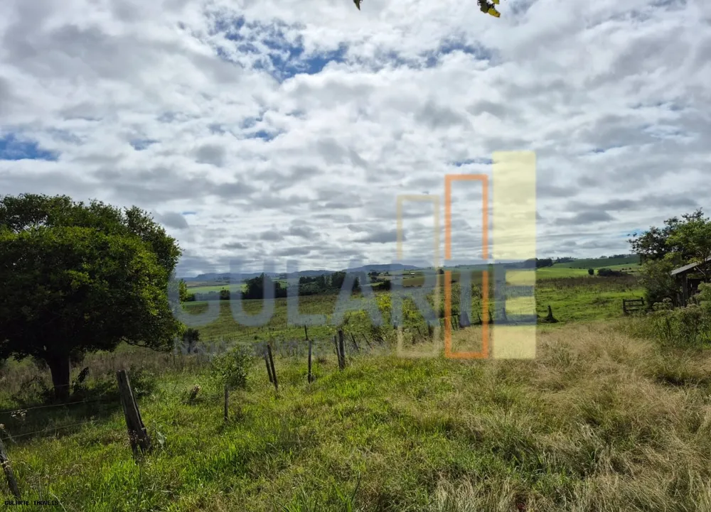 Fazenda, 293 hectares - Foto 2