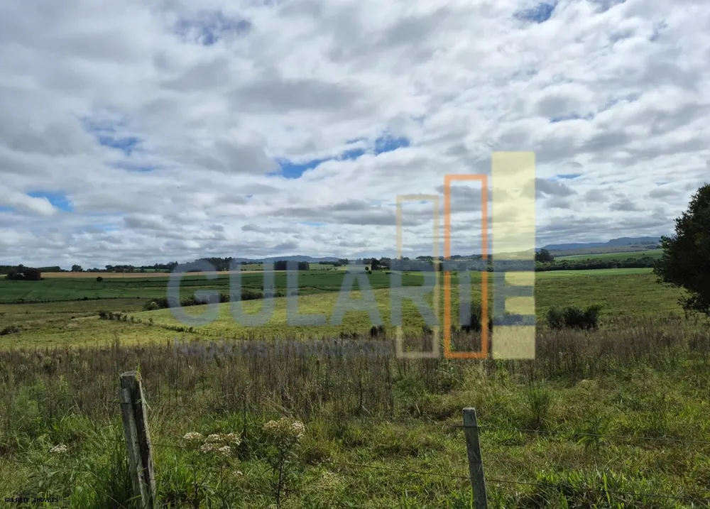 Fazenda, 293 hectares - Foto 1
