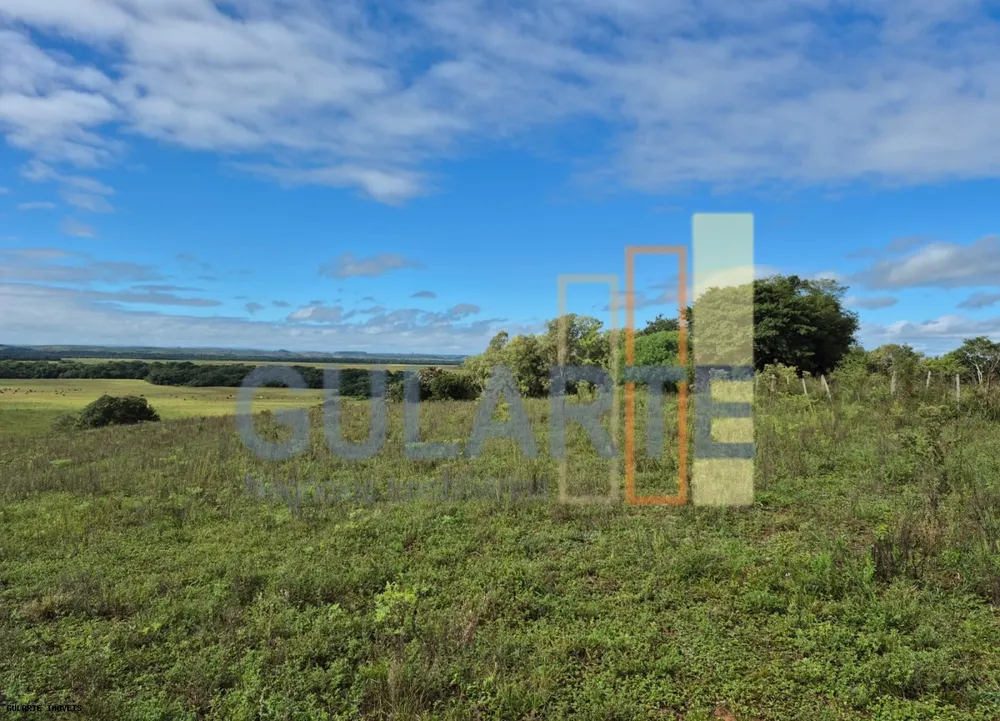 Fazenda, 293 hectares - Foto 3