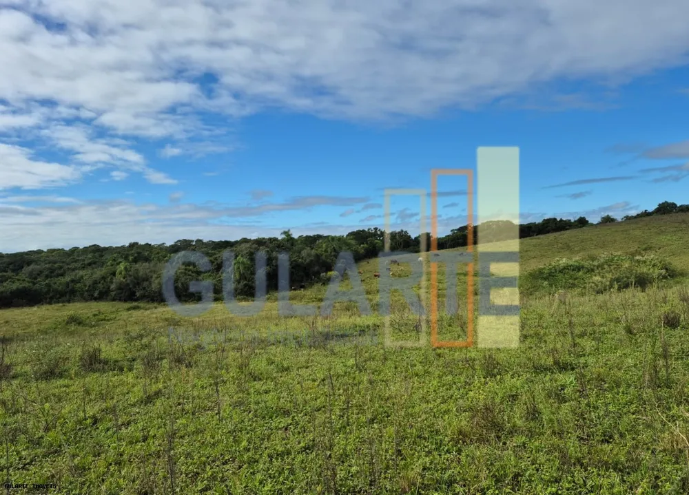Fazenda, 293 hectares - Foto 6