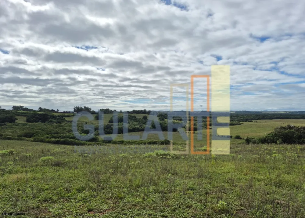 Fazenda, 293 hectares - Foto 5