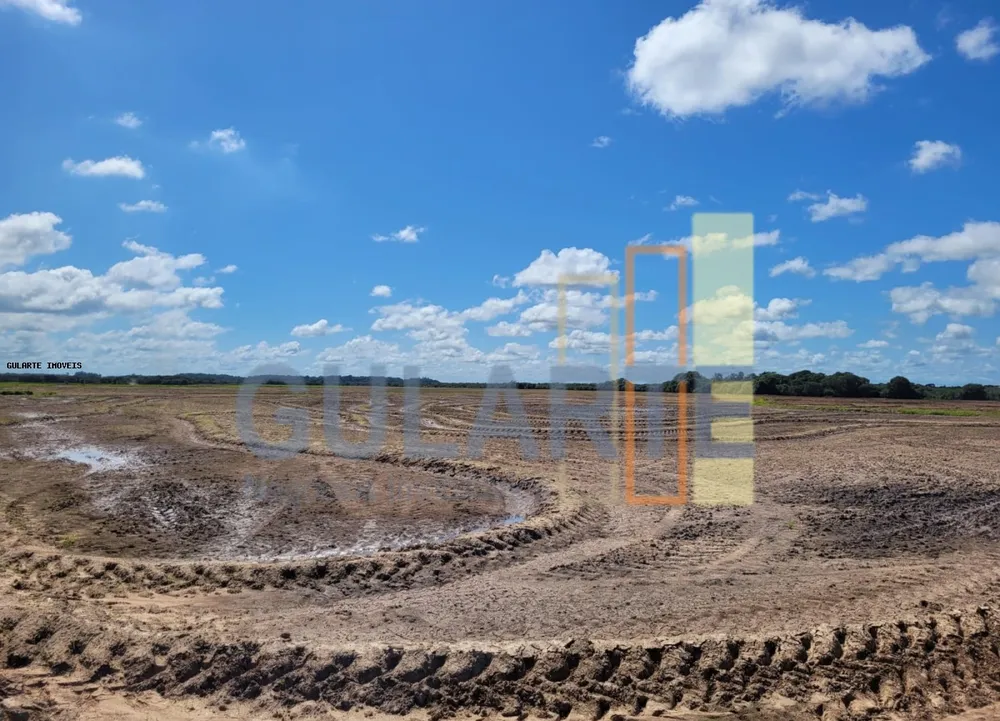 Terreno, 343 hectares - Foto 4