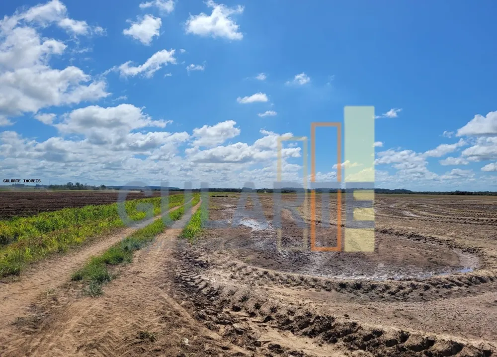 Terreno, 343 hectares - Foto 2