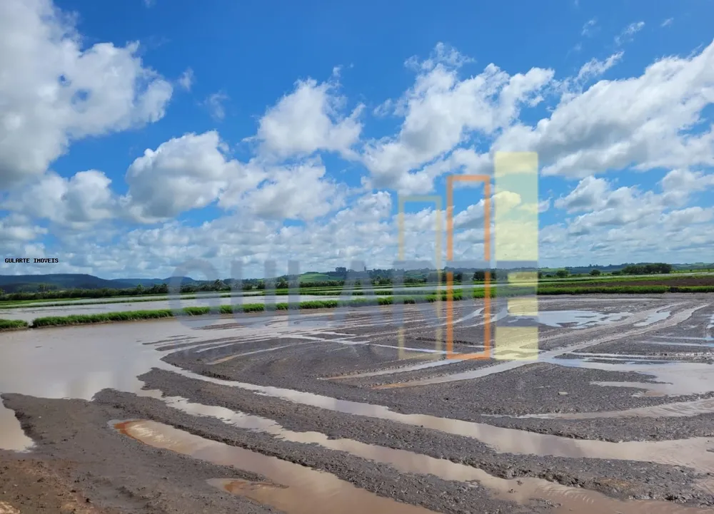 Terreno, 343 hectares - Foto 6