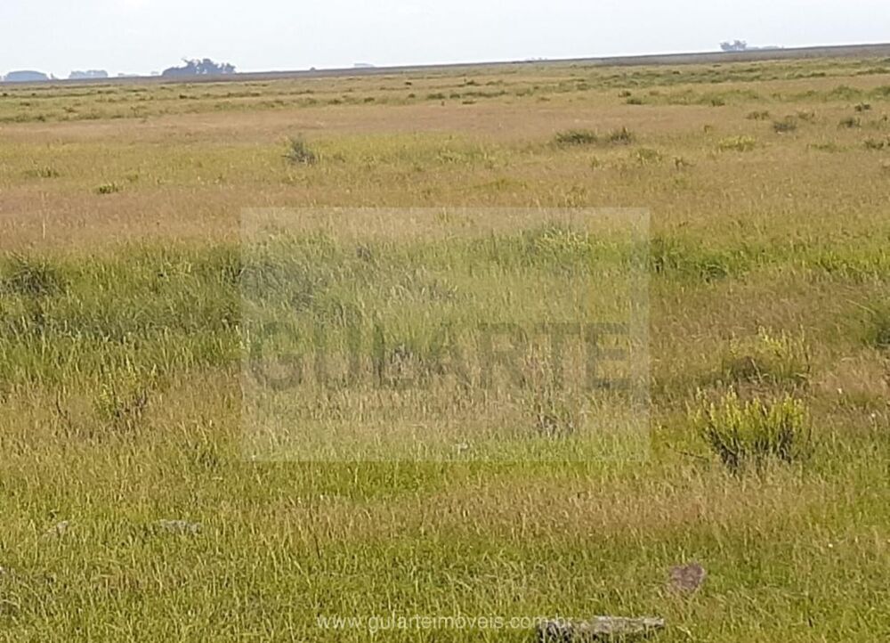 Fazenda à venda, 14000000m² - Foto 1