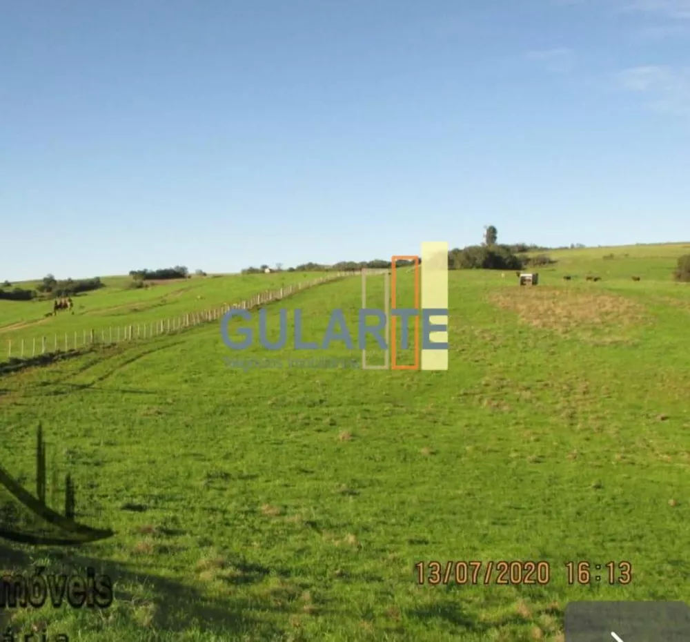 Fazenda, 449 hectares - Foto 1