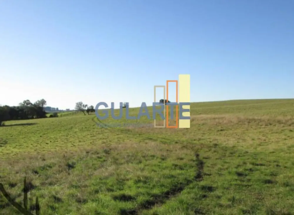 Fazenda, 449 hectares - Foto 10