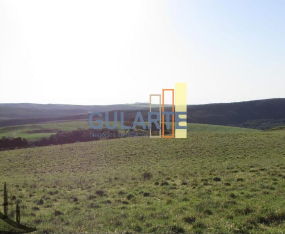 Fazenda, 449 hectares - Foto 7