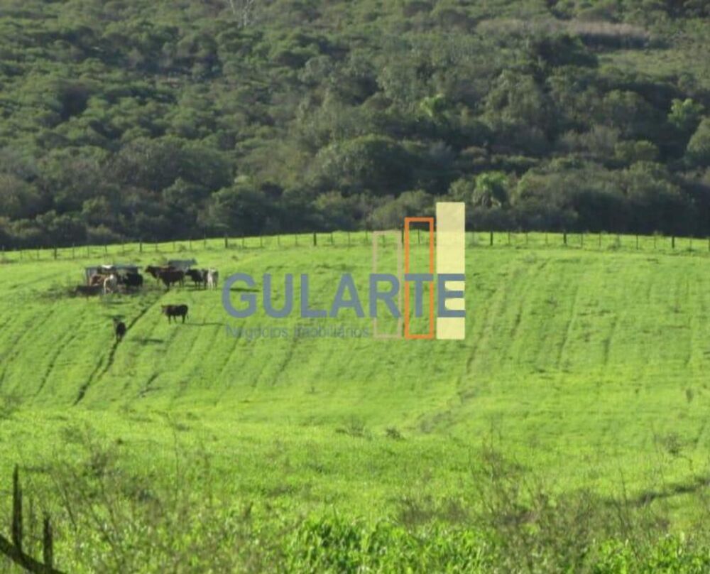 Fazenda, 449 hectares - Foto 8