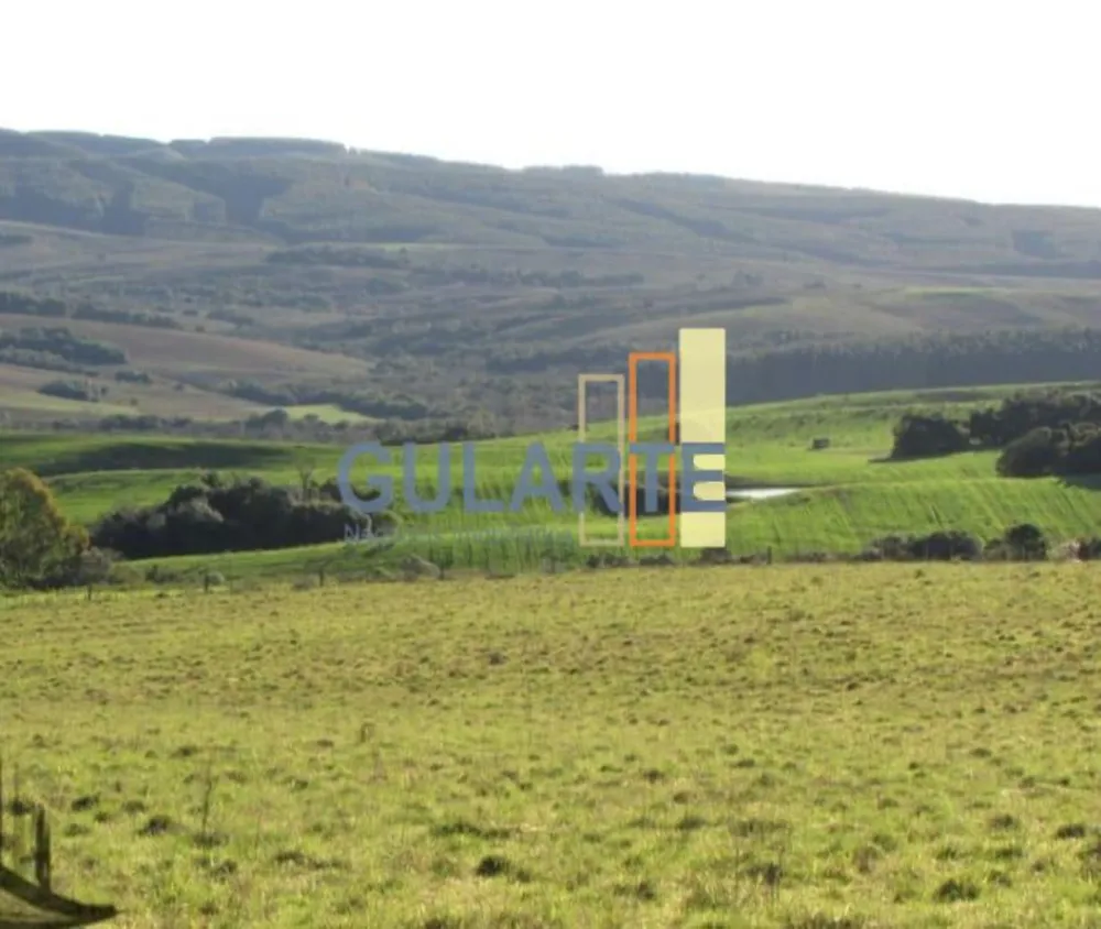 Fazenda, 449 hectares - Foto 9
