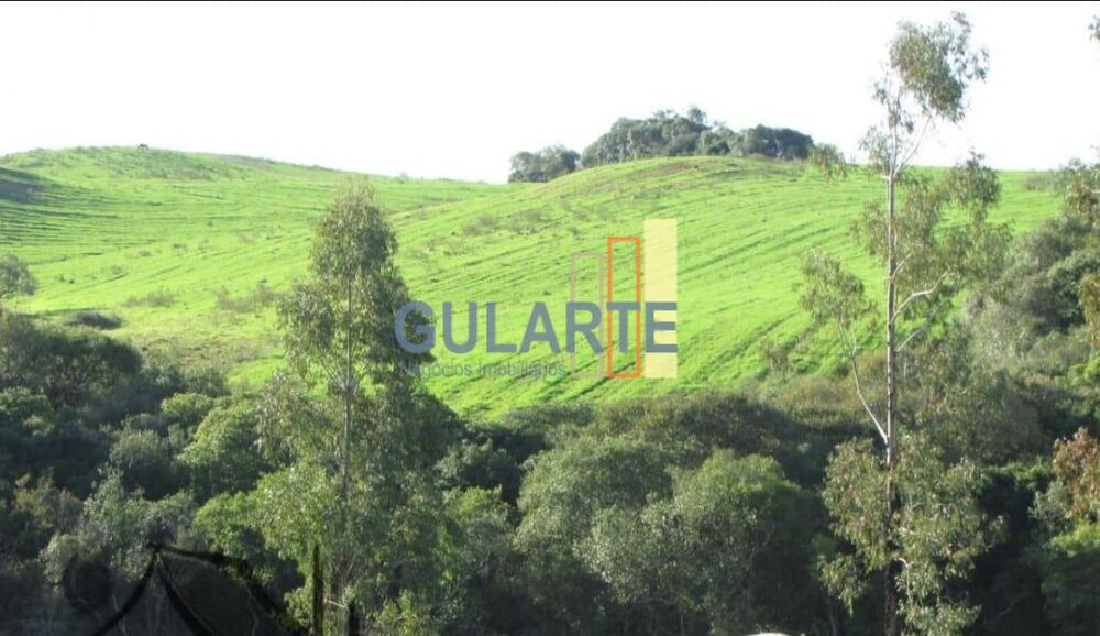 Fazenda, 449 hectares - Foto 3