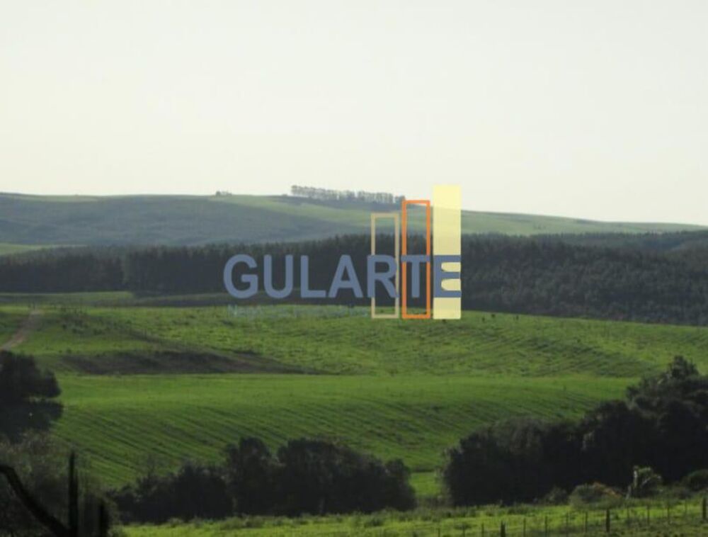 Fazenda, 449 hectares - Foto 6