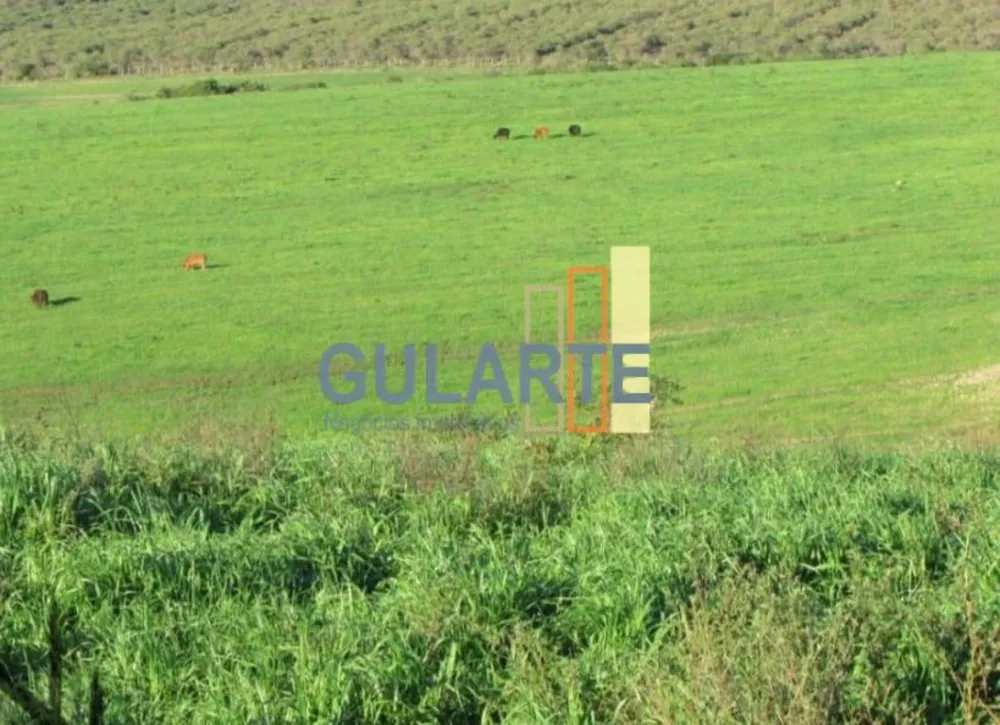Fazenda, 449 hectares - Foto 12