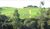 Fazenda-Sítio-Chácara, 449 hectares - Foto 1