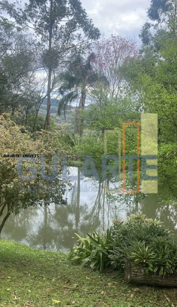 Sítio, 3 quartos, 4 hectares - Foto 8