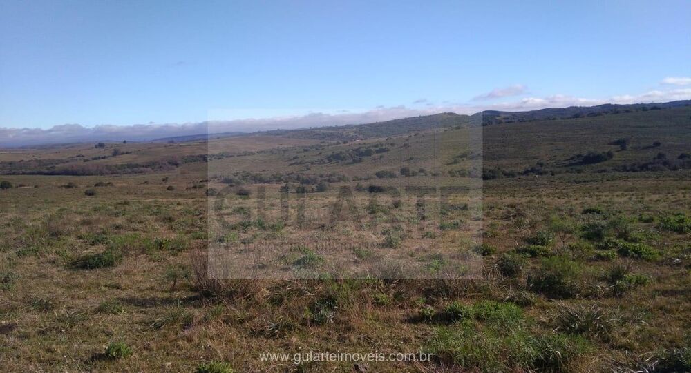 Fazenda-Sítio-Chácara, 1503 hectares - Foto 2