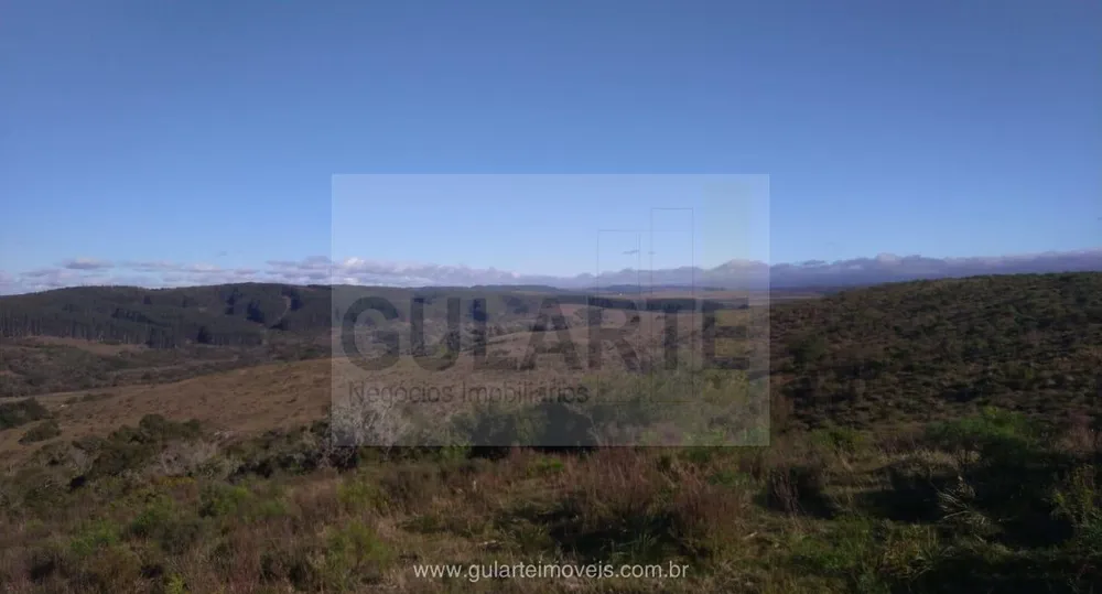 Fazenda, 1503 hectares - Foto 2