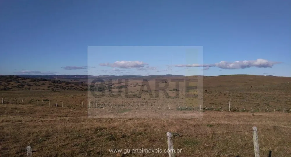 Fazenda, 1503 hectares - Foto 13