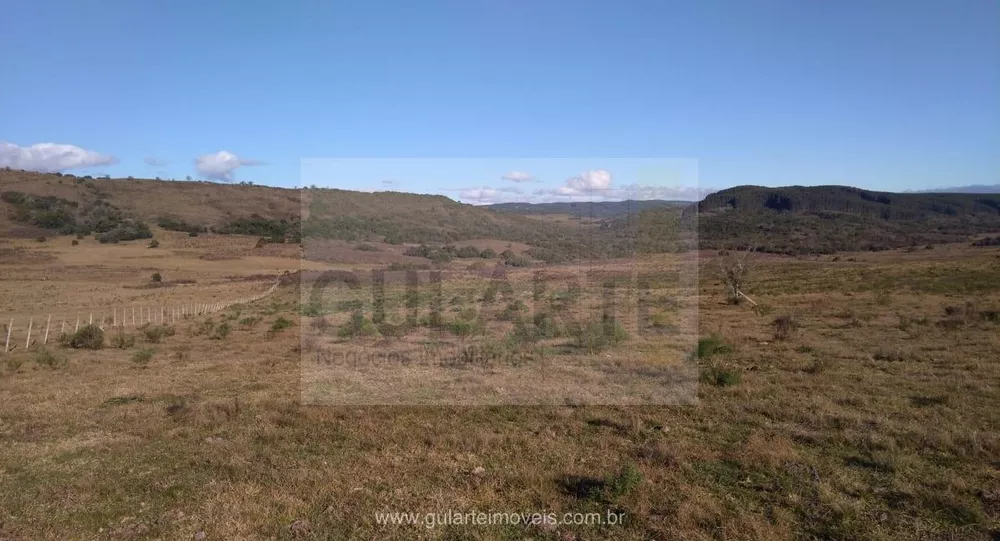 Fazenda, 1503 hectares - Foto 10