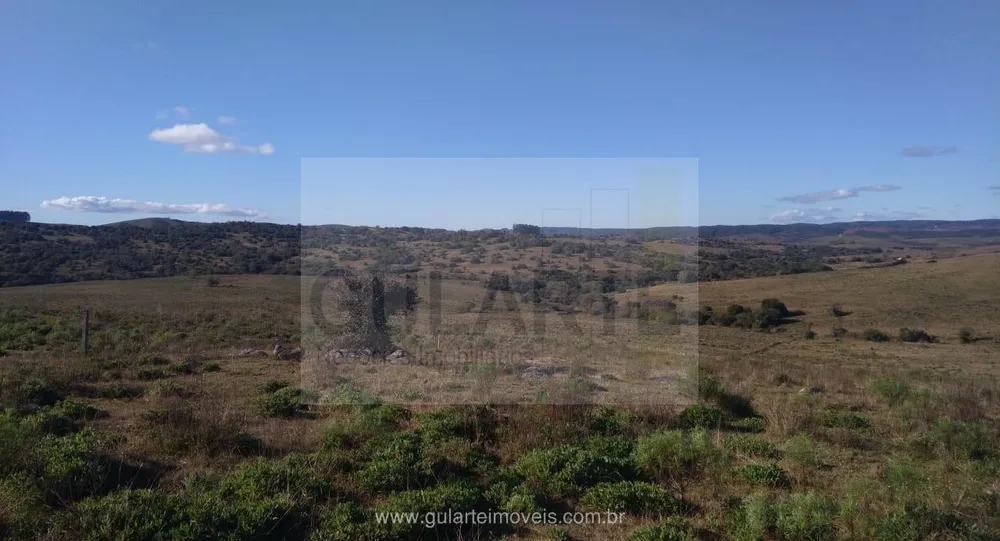 Fazenda, 1503 hectares - Foto 16