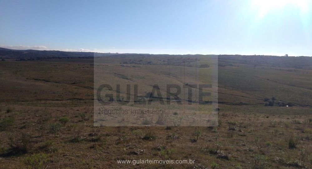 Fazenda-Sítio-Chácara, 1503 hectares - Foto 7