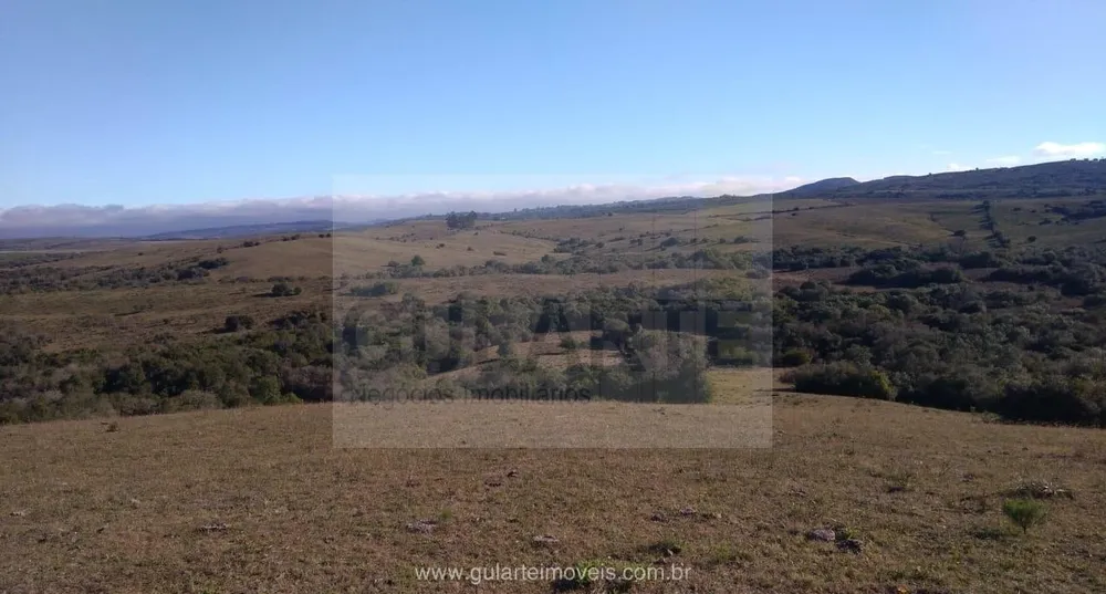 Fazenda, 1503 hectares - Foto 14