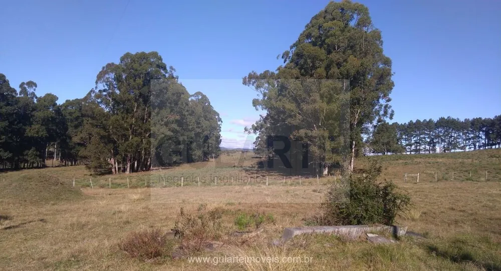 Fazenda, 1503 hectares - Foto 15